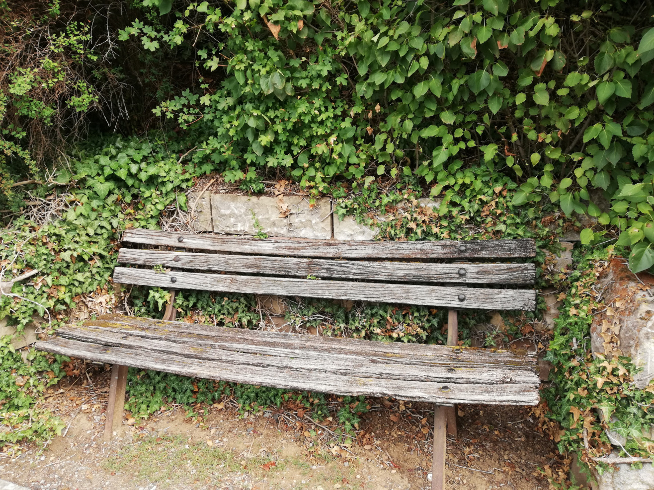 Alte Holzbank