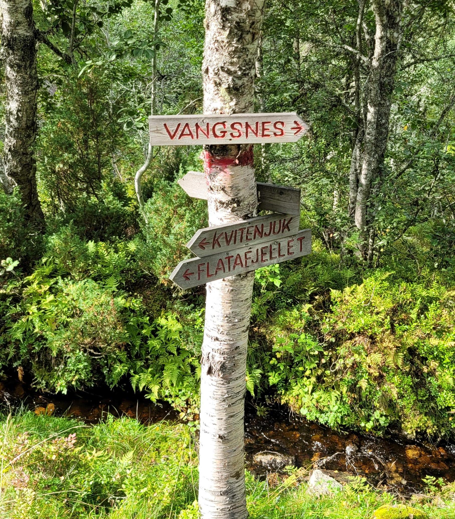 Wegweiser mit Schildern an Baum